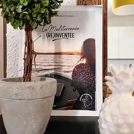 Studio De 25M2 Renove - Quartier Cathedrale Saint-Just ناربون