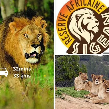 Studio De 25M2 Renove - Quartier Cathedrale Saint-Just